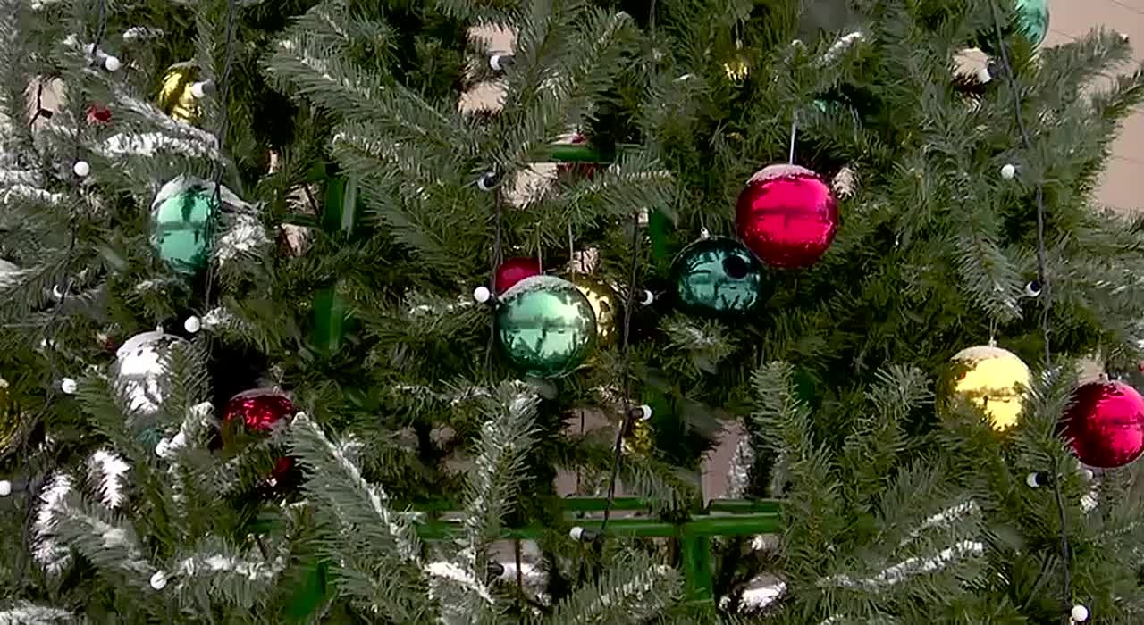 Глава муниципального образования "Студенокский сельсовет" Железногорского района Екатерина Пахомова присоединилась к акции «Ёлка достижений»