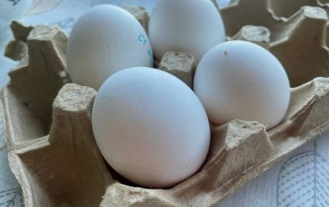 � ������ ����� ����� ����� ������� ���� �� ������, ��������� � ����