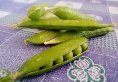 ����������� ����� �� ���������: ������� ��� � ������ ������� ���� ������� �����