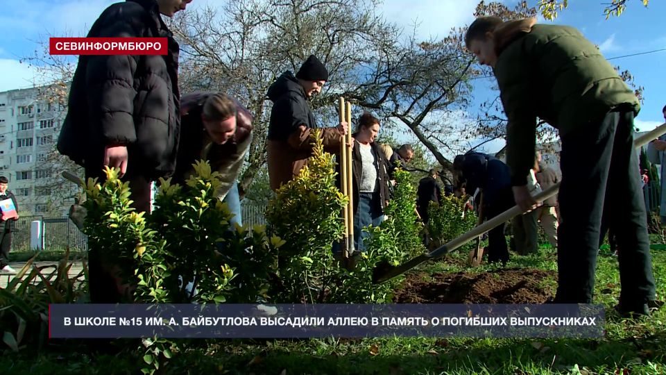 В севастопольской школе №15 высадили аллею памяти защитникам отечества