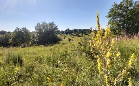 � ������� ������� ���������������� ������ �������� �������� 710 ��