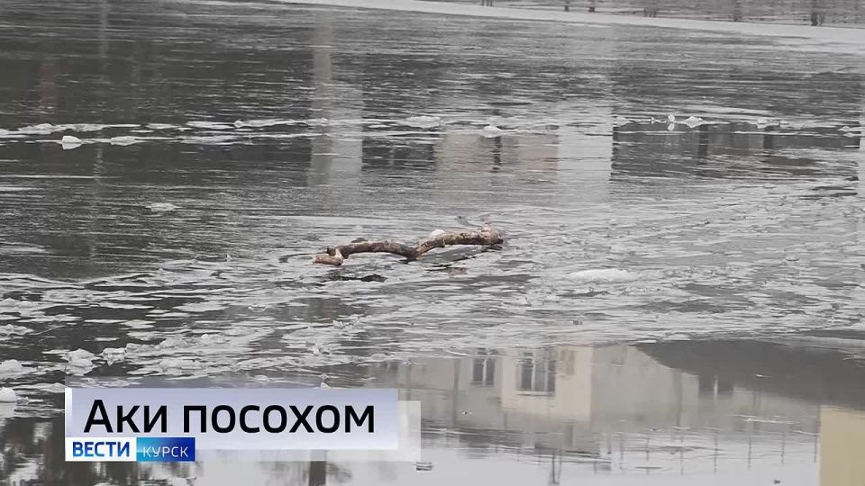 11111 Главные темы выпуска «Вестей Курск» — через несколько минут в нашем эфире: