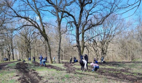 � ������ ������ �������� ������� �������� � ������� ������ ���