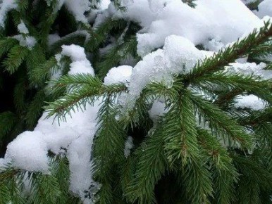 ��������� ���� ����� �� �����