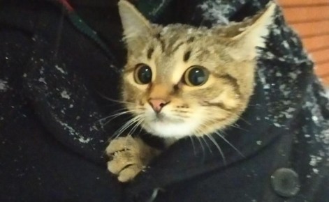 � ������� ������� � ���������� ��������� ����� �������� �� 90 �������� ��������