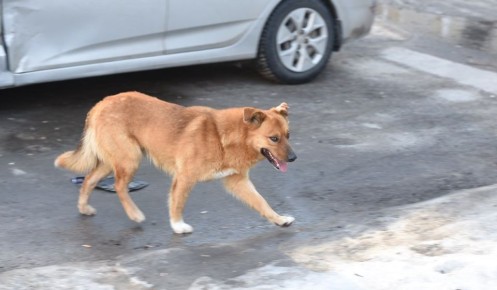 ����� �� �� ���������� ������ �� ���� � ��������� ������ �� ������� � ������