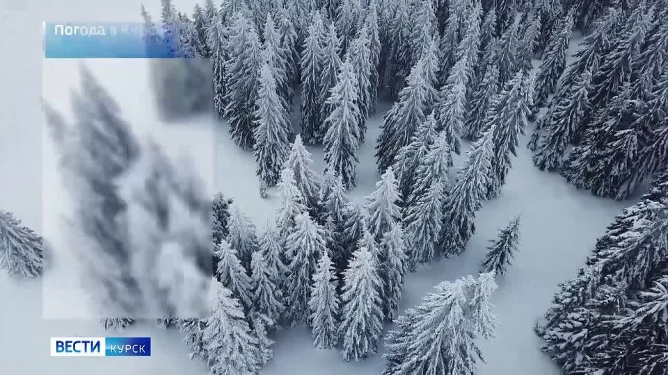 на 25 декабря. ВЕСТИ Читать | Прислать | MAX