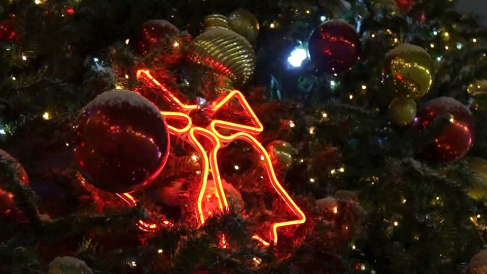 ����������������� ����� "���� �������" �������� �������