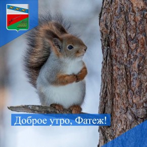 ДОБРОЕ УТРО. Пусть декабрьский денёк принесёт вам чудесное настроение, улыбки и наполнит сердце теплом