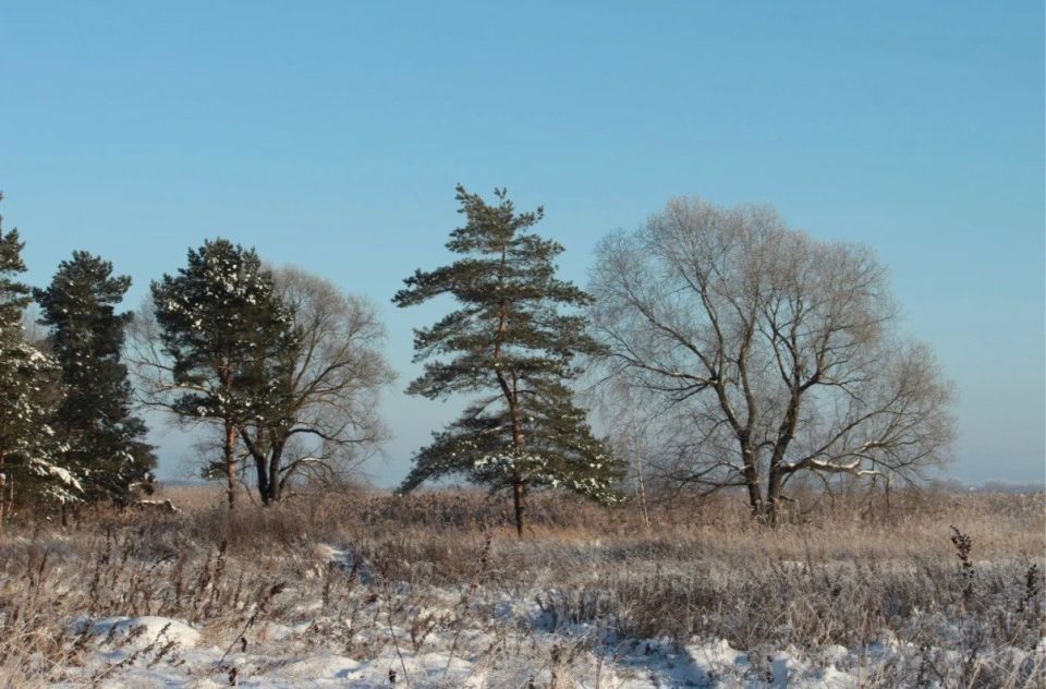 ������ ����!. �������, � �������, 25 �������, �� �������� ������������� ��������� ���, � ������� ������� ����� ���������� ����������, ���� ������� � ������������