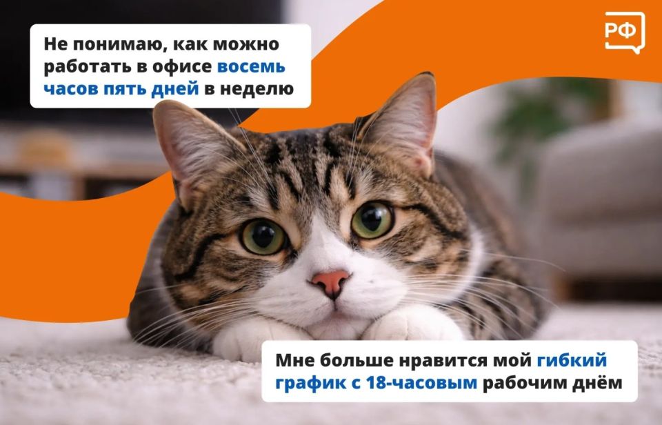 Перед тем как начать работать на себя, важно выбрать подходящий правовой статус