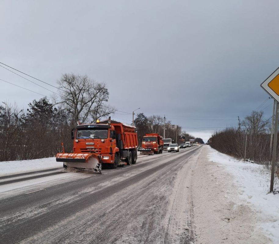 ������������ ������ ������������ �����