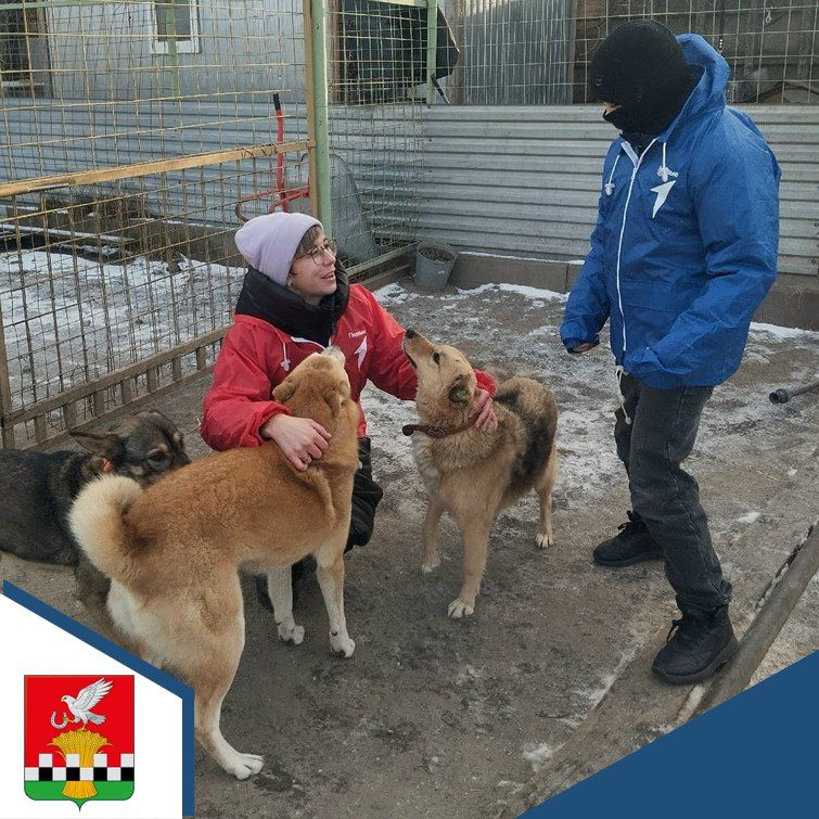 ������� ������������� ��������� �������� ������ � ���� ���������� � ������ ���������, �������� ������ ��������� �����, �������� ����� ����� "����� "������ �����"