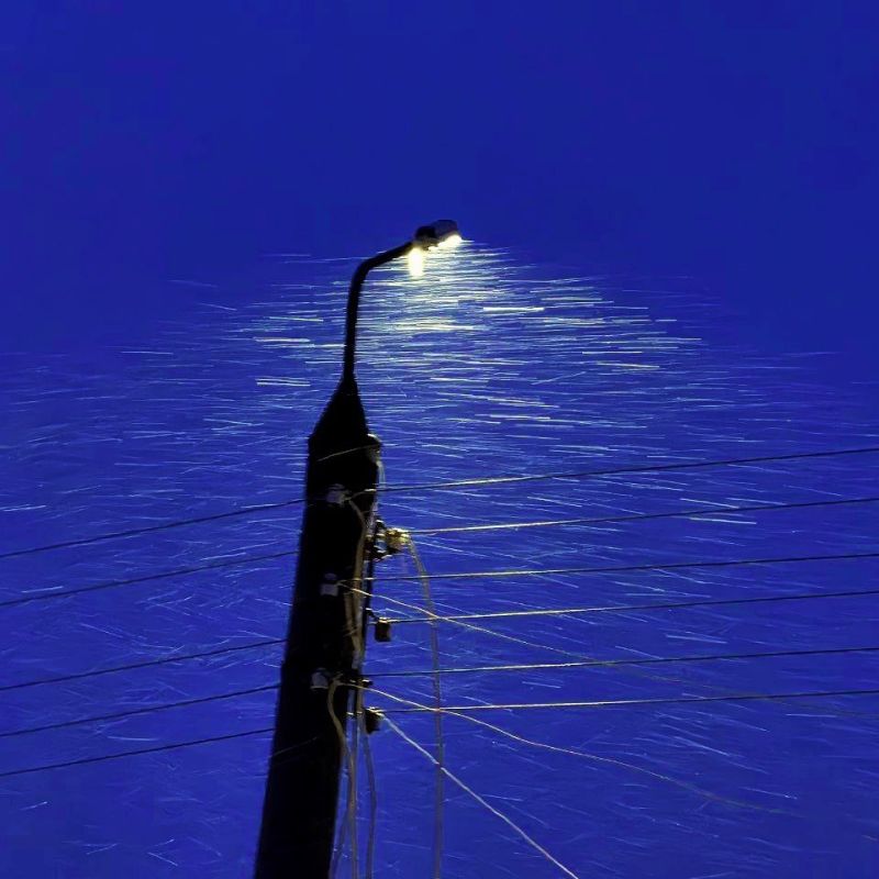 ������ ����, ���������� �����!