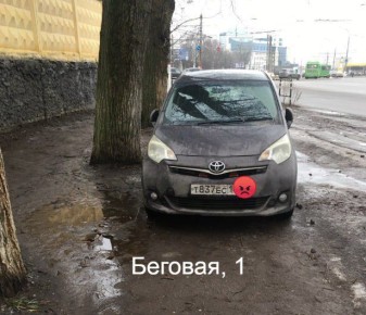 � ������ ���������� �������������� ���� ���������� �����������, �������������� ������������ �������� � ����������� �����