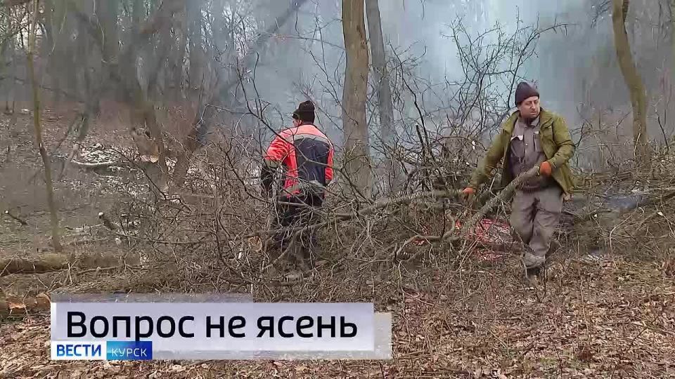 11111 Главные темы выпуска «Вестей Курск» — через несколько минут в нашем эфире: