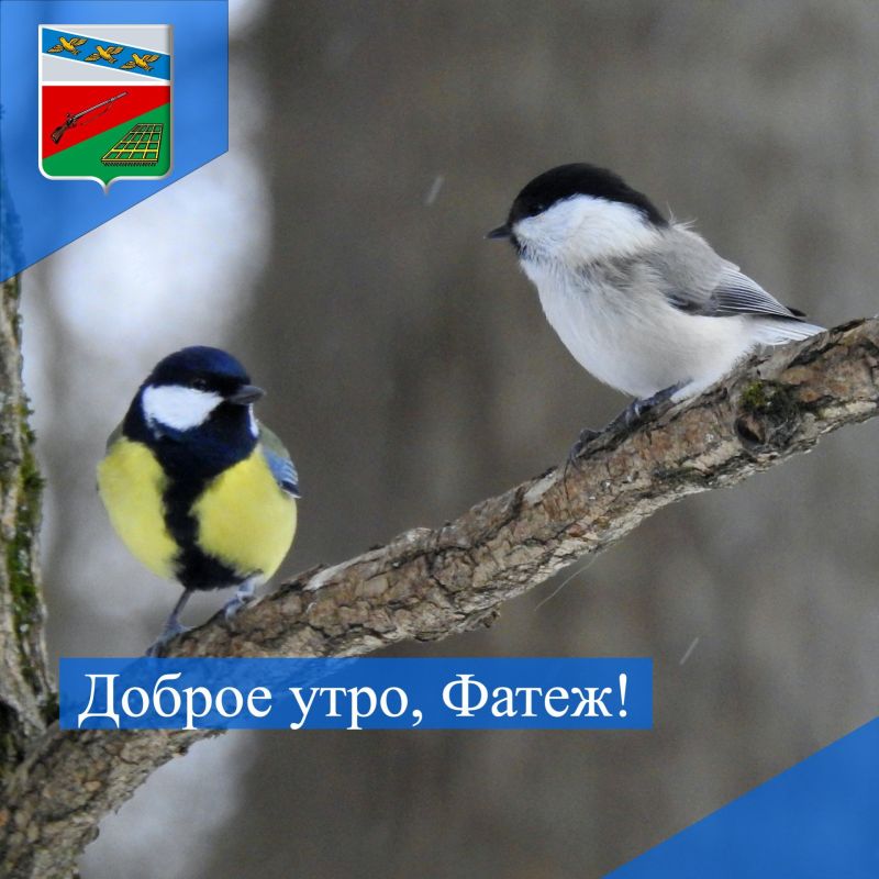 ������ ����. ��������� ��������� ������� �������