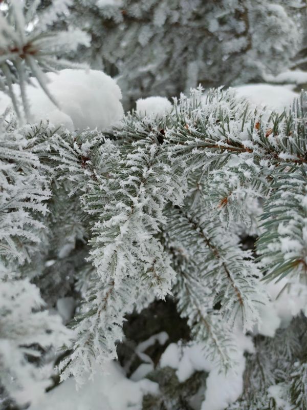 � ������� ������� ��������� ���� � �����