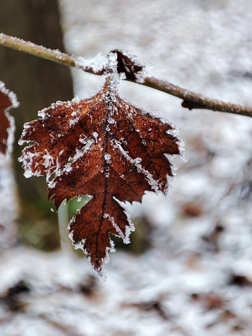 Доброе утро, Пристенский район!