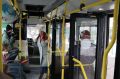 Куряне массово жалуются на отсутствие валидаторов в новых автобусах «Ситимакс»