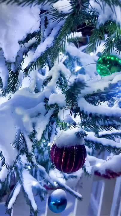 ������ ������ � ������ ���� �������� ���� �����