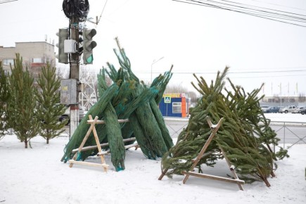 � ������ �� ����������� ��������� ���� ���������� 24 ���������