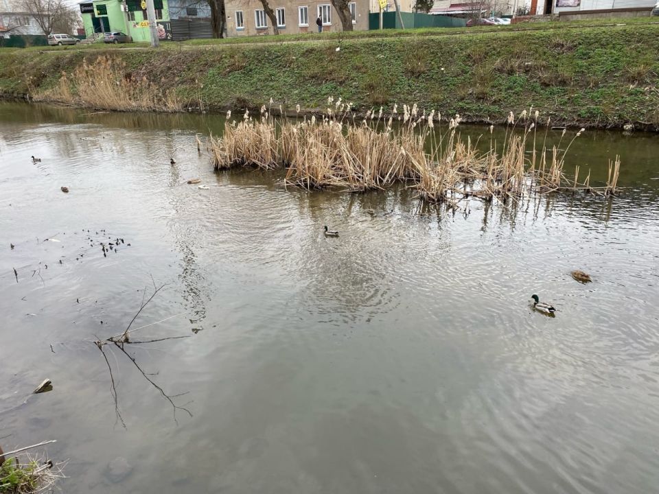 ������� ����������� ������� �� �������� �������� ������� � ������, ������ ������� ��������� �������� ������� ������ �����