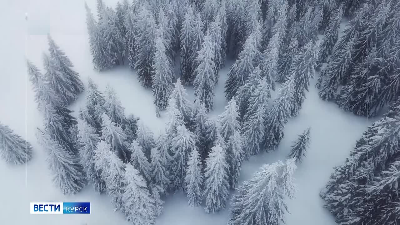 на 30 декабря. ВЕСТИ Читать | Прислать | MAX