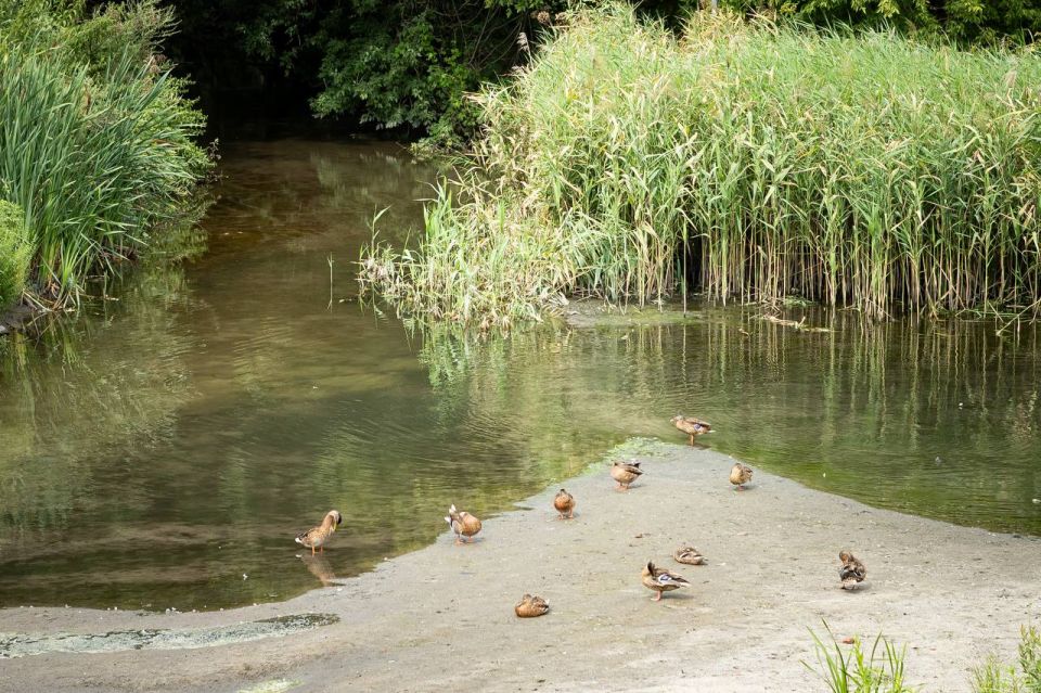 � ������ � ������ ������� ������� ����� �������� ������������