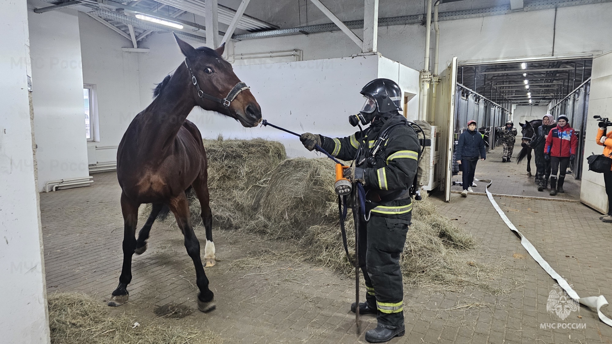 Курские огнеборцы МЧС России ликвидировали условный пожар на конноспортивной школе