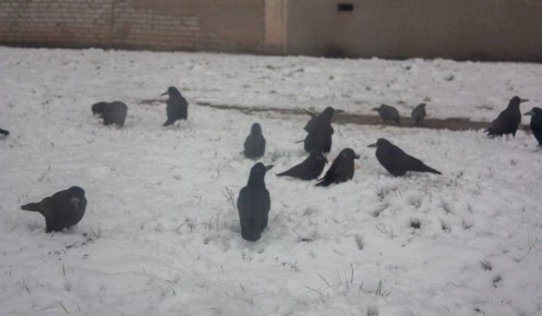 � ������� ������� 30 ������� ��������� ���� � �� -9 ��������