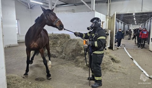 � ������ �������� �������� ����� �� ��������������� �����