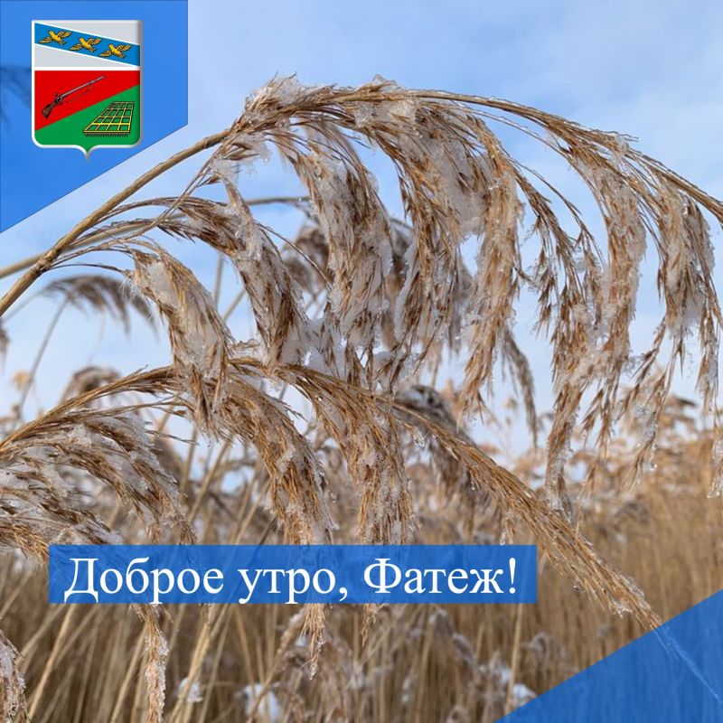 ������ ����. �������� ����� �������� ������� ������ 2025 ����