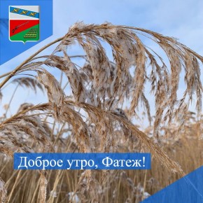 ДОБРОЕ УТРО. Началась самая короткая рабочая неделя 2025 года