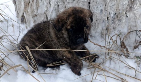 � ������� ������ ������ ����� �� 2025 ��� �������� ����� 50 ��������