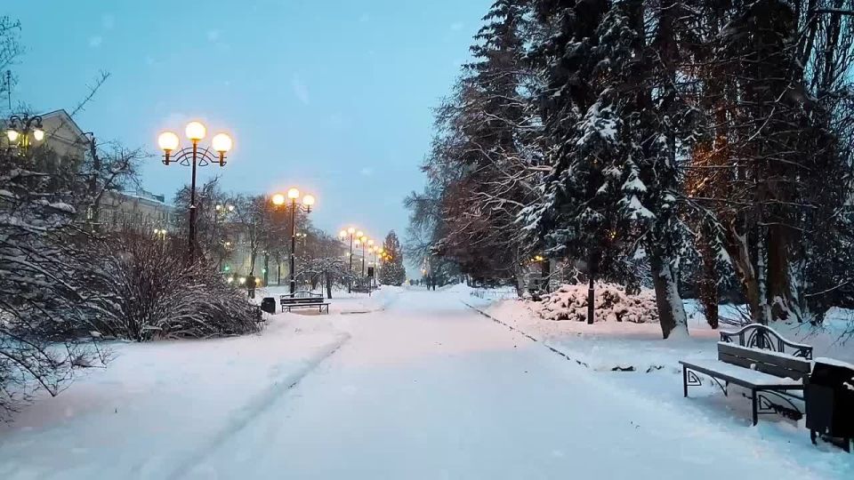 Зимняя прогулка по новогоднему Курску от «Удивительного Курска»