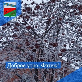 ������ ����. ��� � �������� ��������� ������� ���� ��������� ����