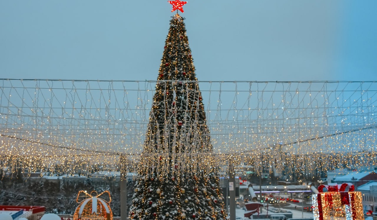 В Курской области 31 декабря ожидаются снег и 12 градусов мороза