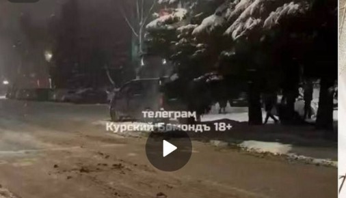 В Курске проводят проверку из-за спиливания ветвей на елях по улице Харьковской