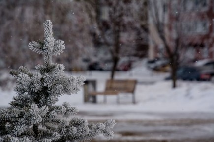 � ������� ������� 2 ������ ��������� ������, ������� ����� �� 18 �/� � ������� ������ �� �������