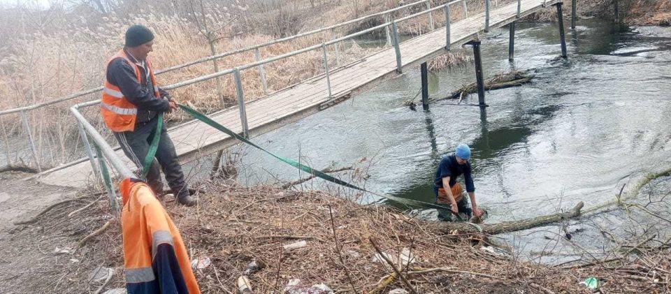 � ������� ���� � ��������������� ������ ������� ����������������� �����������