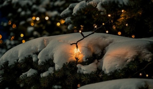 � ������� ������� 3 ������ ��������� ������� ����, ����� � ��������� ����������