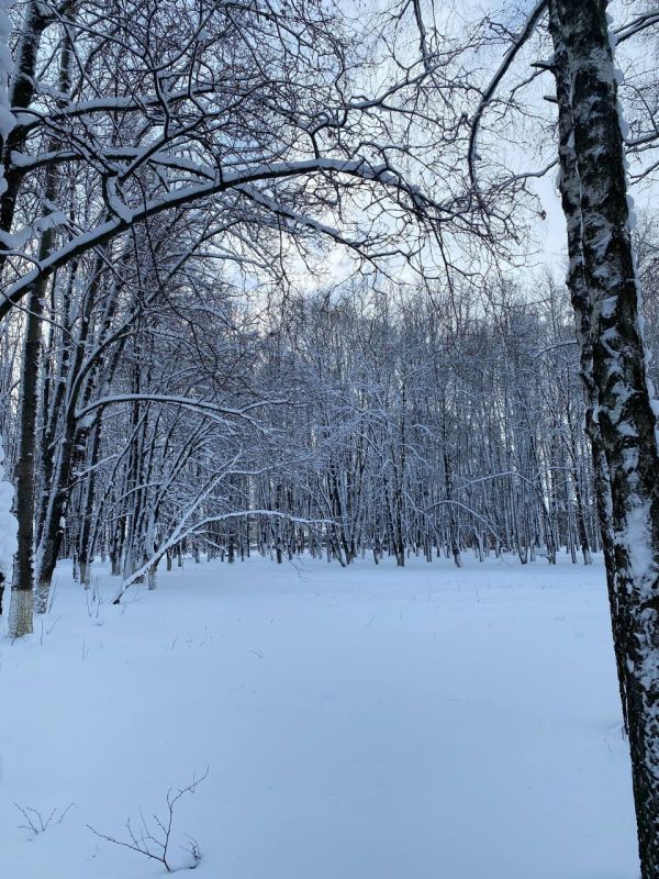 ���� ��������: ��������� ����