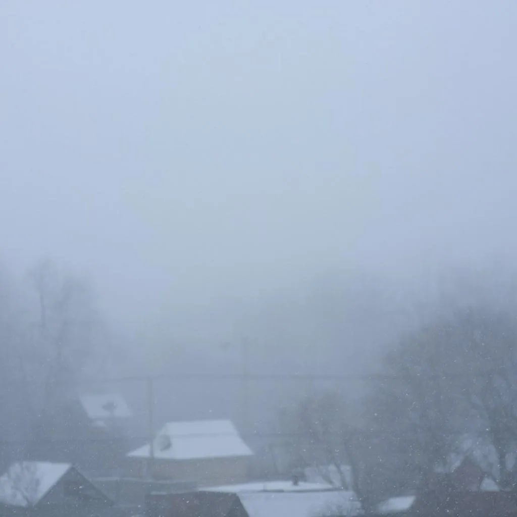 В Курской области 4 января обещают туман и небольшой снег