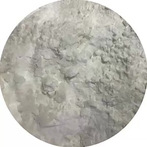 ��������� � ������ ������ ����� ������ ������ ������������ ����������� �����������: �������� �� ������� � ������ ������