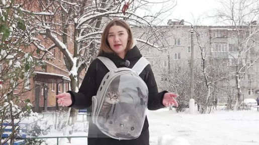 11111 ������� ���� ������� ������� ����� � ����� ��������� ����� � ����� �����: