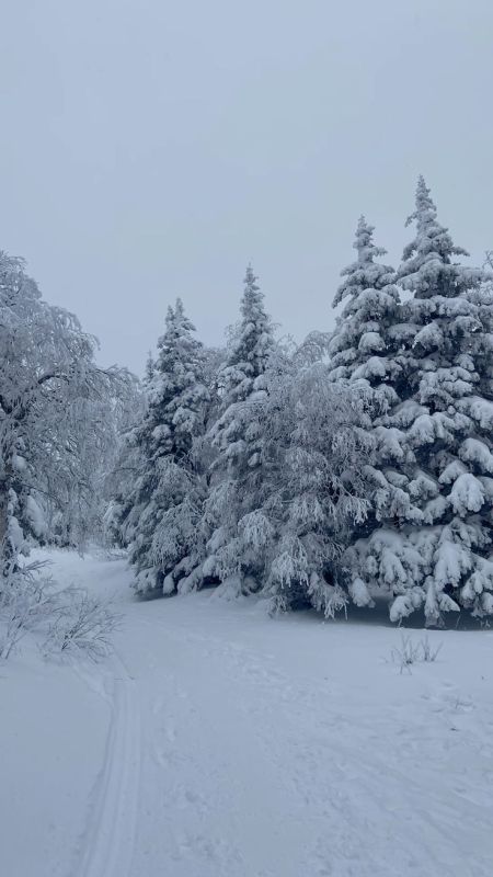 ��������!. � ����� � ���������� �������� ������� � ���������� ������� � ����������� ������� ������� � ������������ ����������� ������������ �� ������� �� ������ � ������������ ���������� ��� ������� �������������