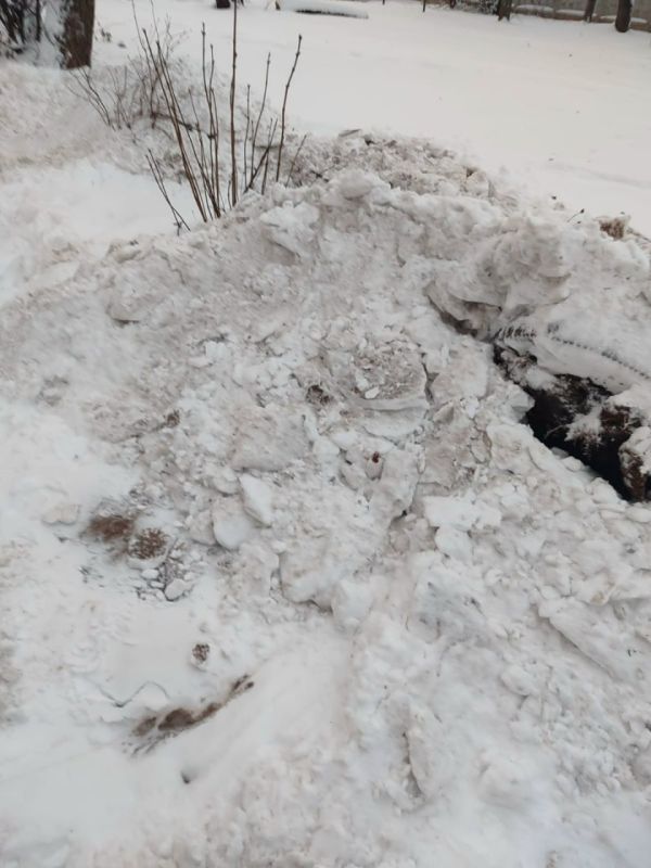 ��� �����: ������� 2 �������� ���� 3 �� ����� ����������� "����������" ��� ���"�� �������" �� ��������� ����� ������ � ������������ �� �����. ���������� �������� � �������� ������� ������ � ������� ������. "�������" ��...