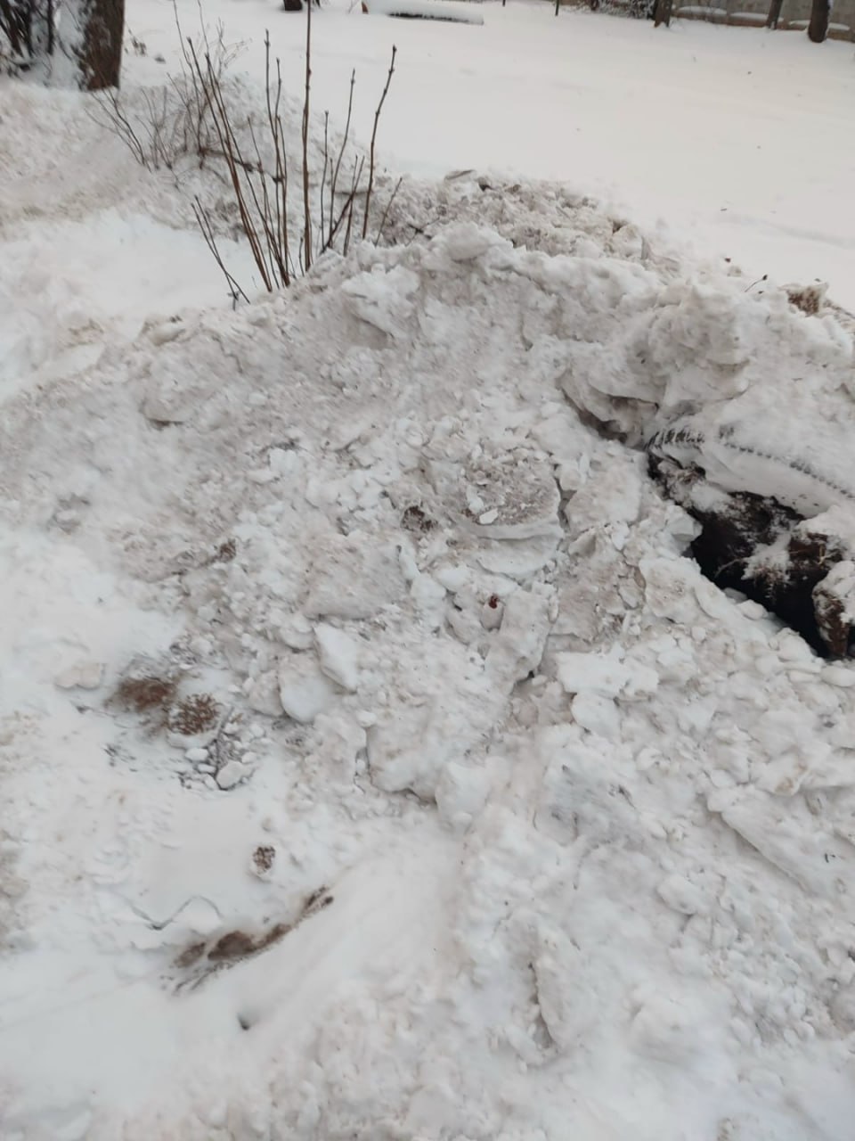 Нам пишут: «Жители 2 подъезда дома 3 по улице Аэродромная "благодарят" ЖЭУ ООО"УК Энергия" за расчистку снега вместе с насаждениями во дворе. Безобразно закиданы и частично выдраны клумбы с кустами сирени. "Спасибо" за...