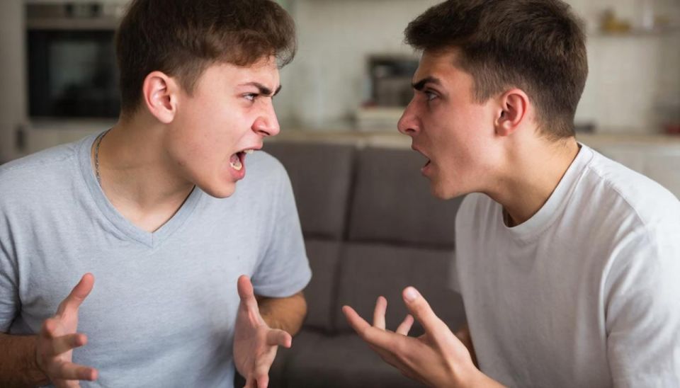 10 месяцев за сломанную челюсть брата получил молодой курянин